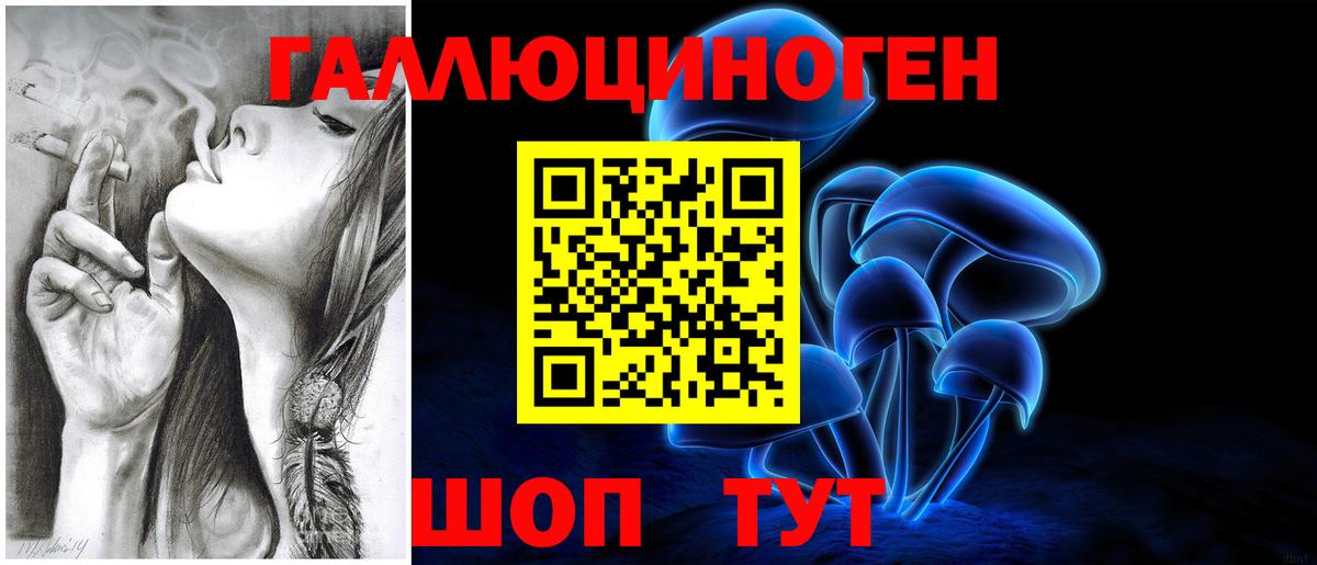 Галлюциногенные грибы GOLDEN TEACHER  наркота  Зерноград  Вход с VPN 