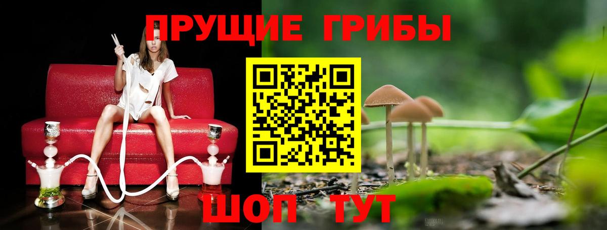 Галлюциногенные грибы ЛСД Зерноград